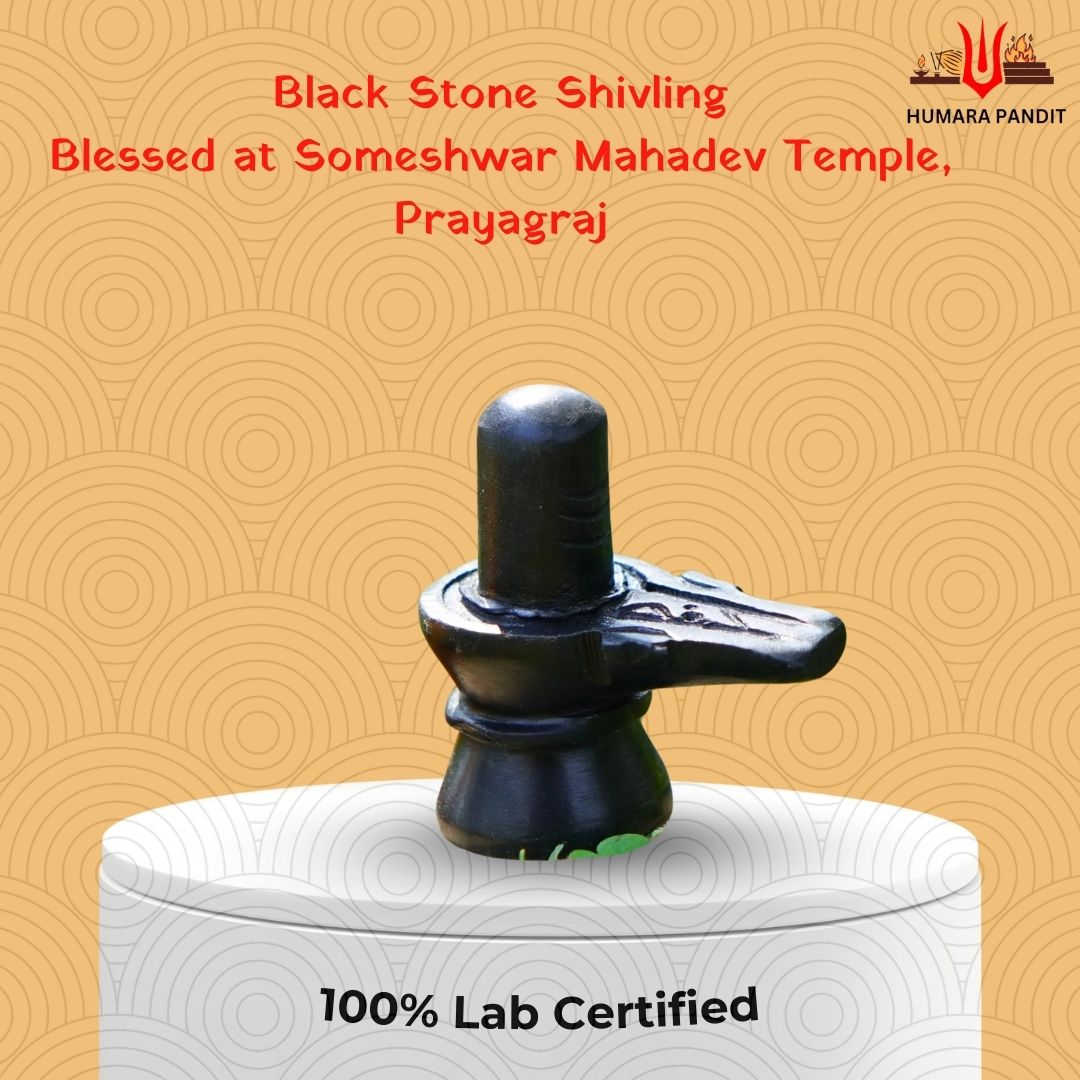 🛕Someshwar Mahadev Shivling – Blessed at Temple