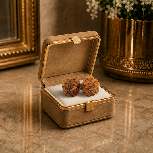 Gauri Shankar Rudraksha