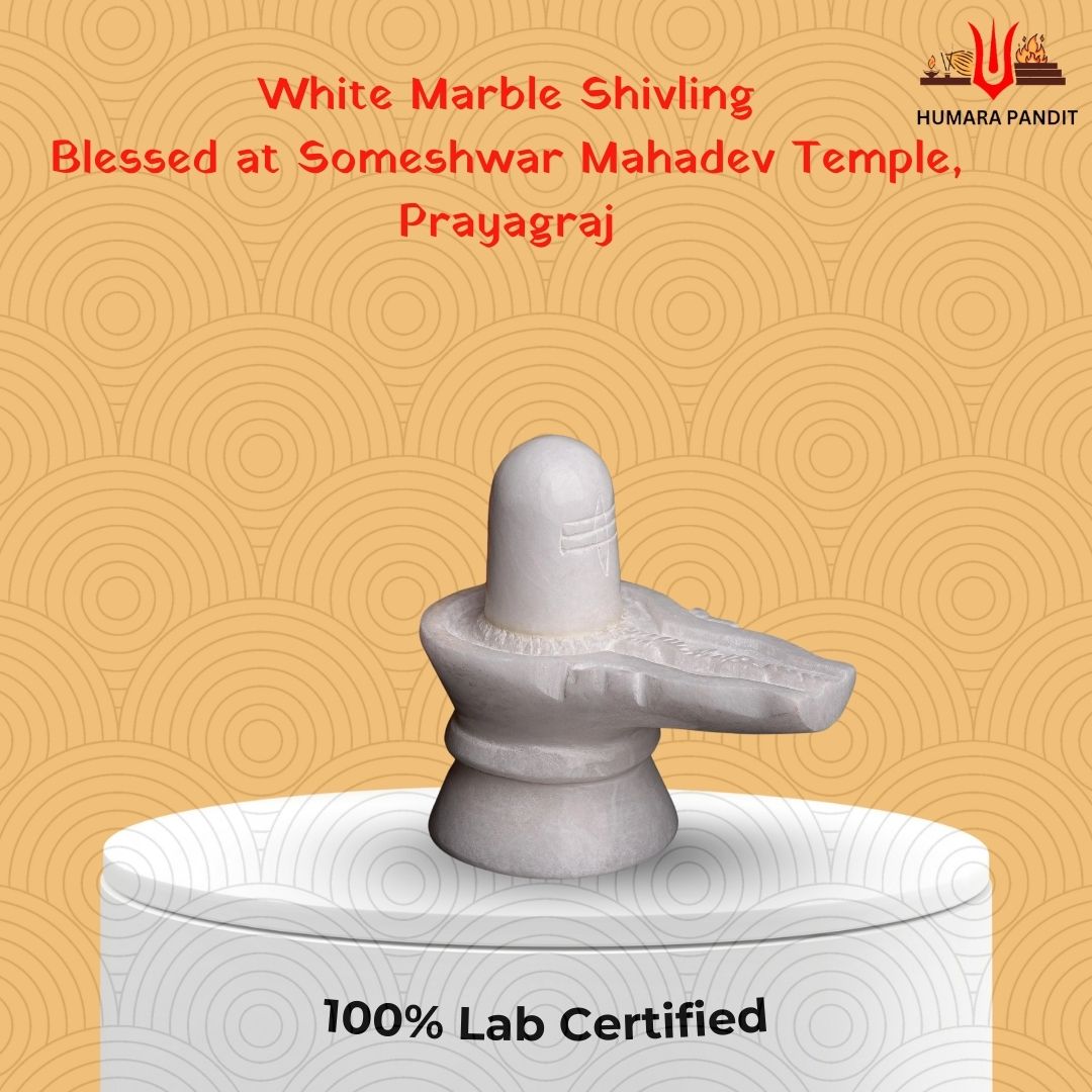 🛕Someshwar Mahadev Shivling – Blessed at Temple