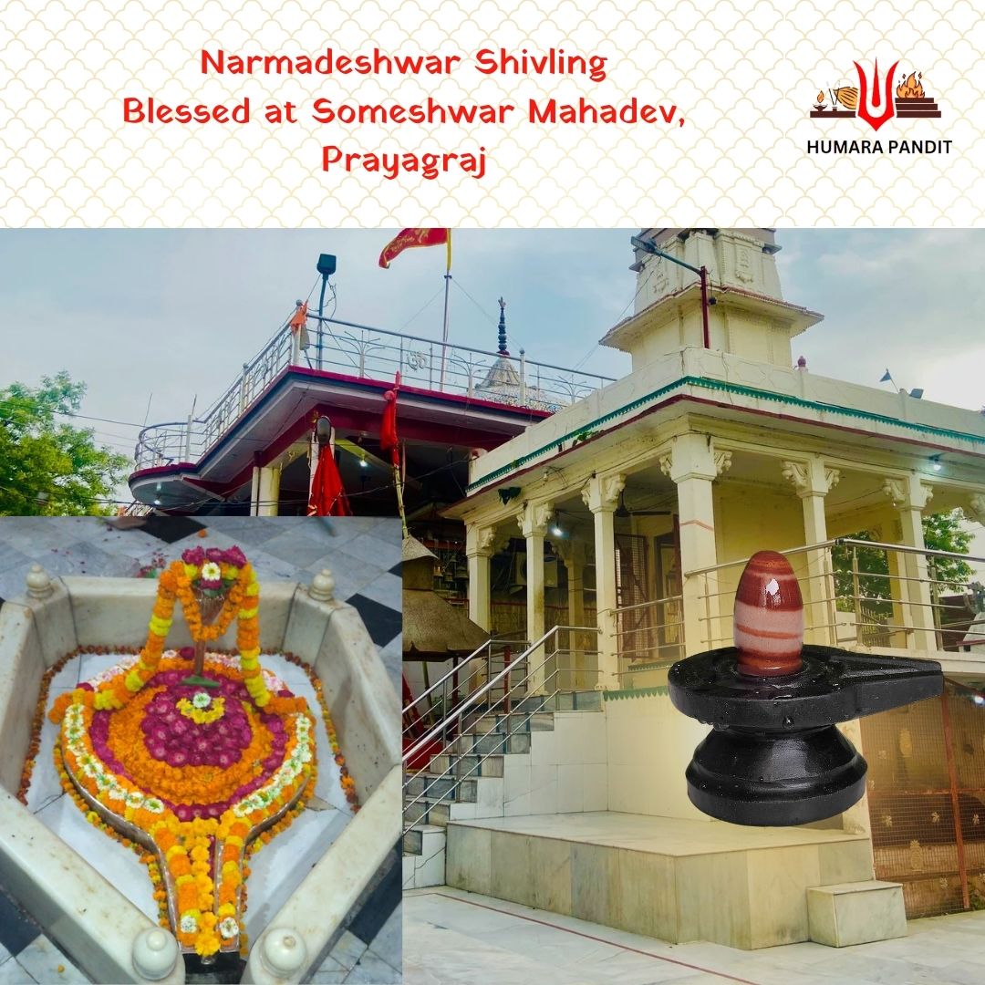 🛕Someshwar Mahadev Shivling – Blessed at Temple