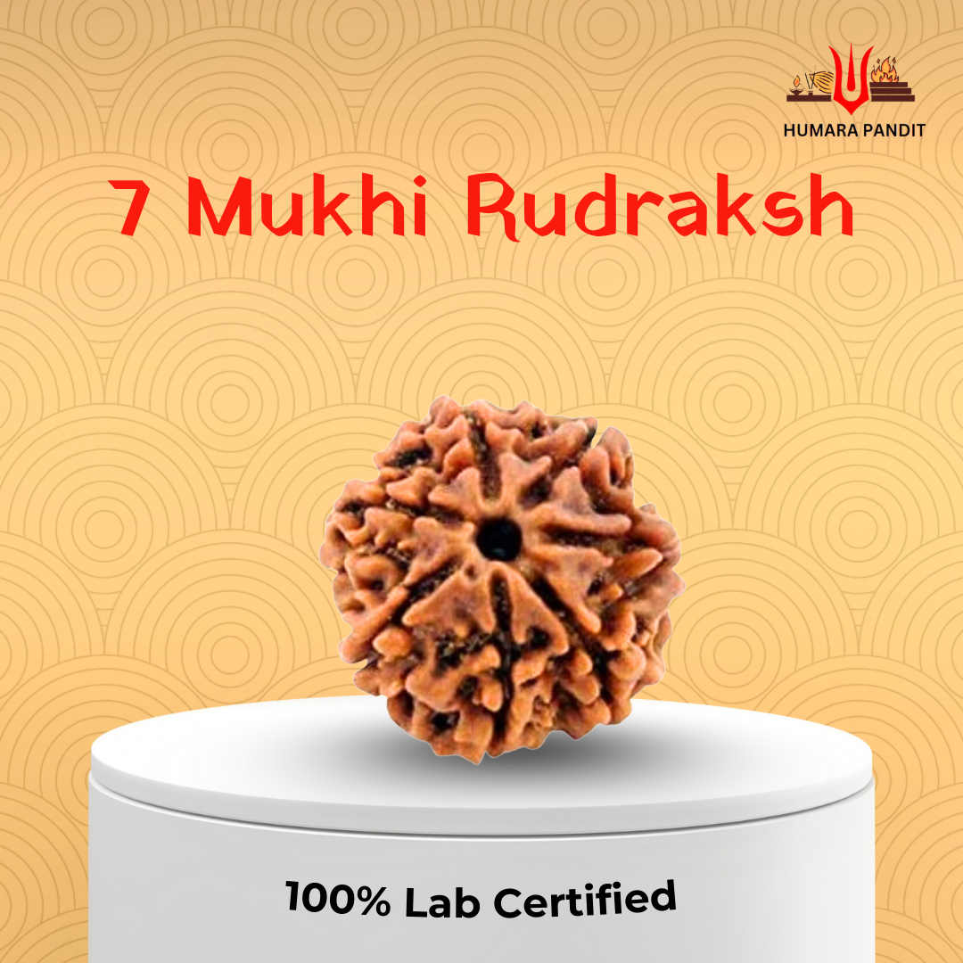 7 Mukhi Rudraksha Temple-Blessed on Akshaya Tritiya | From Shri Mahalakshmi Shaktipeeth, Kolhapur
