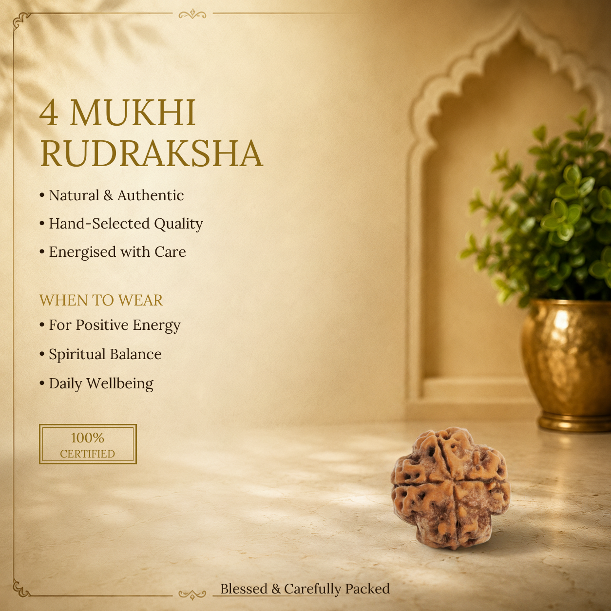 4 Mukhi Rudraksha - image 2