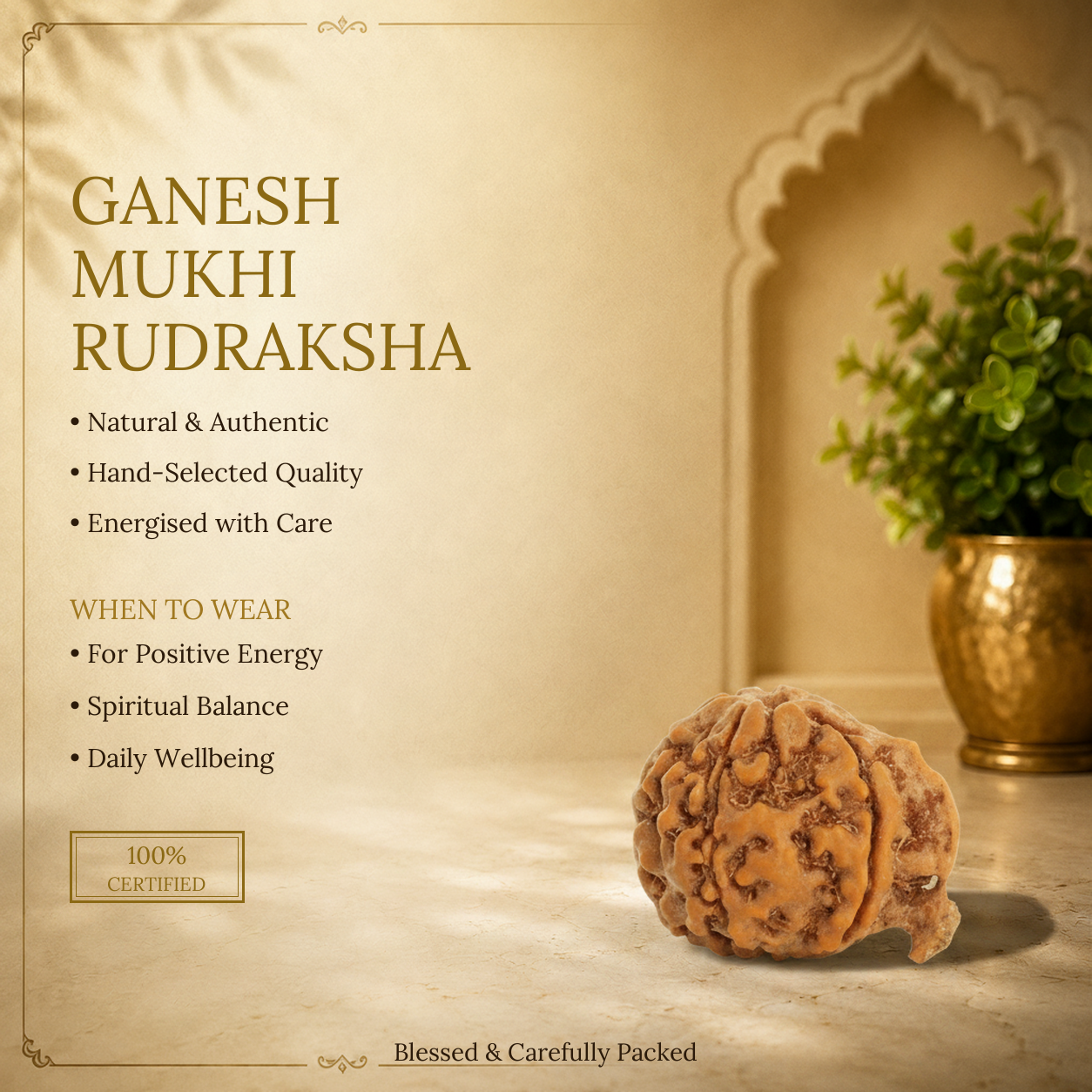 Ganesh Mukhi Rudraksha - image 2