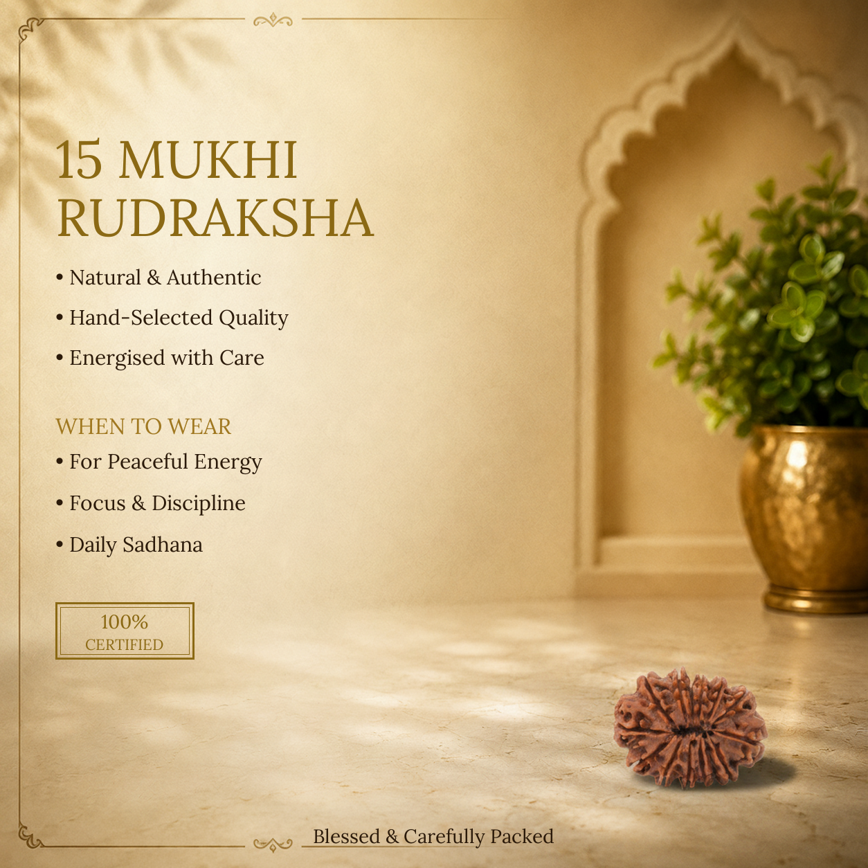 15 Mukhi Rudraksha - image 2