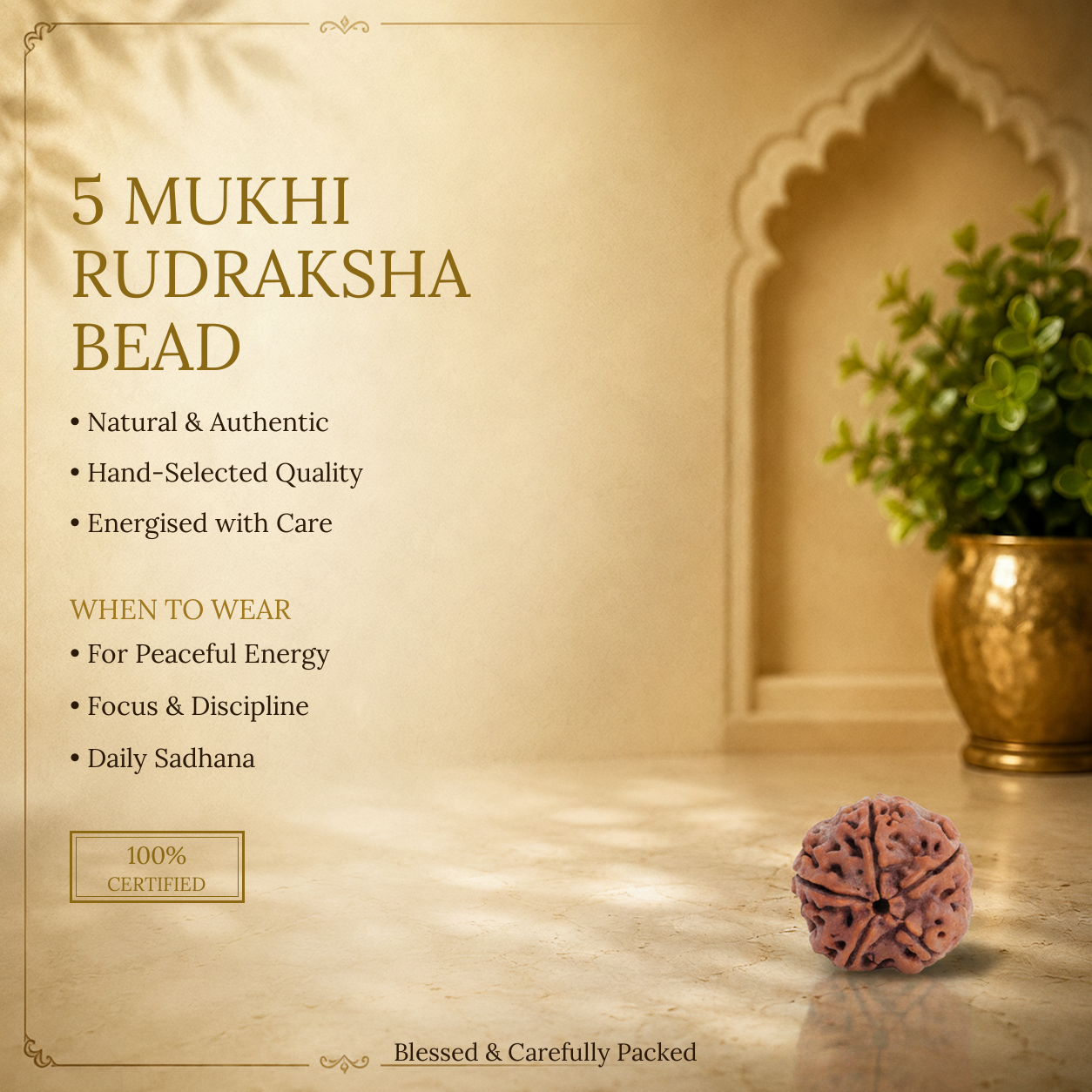 5 Mukhi Rudraksha - image 4