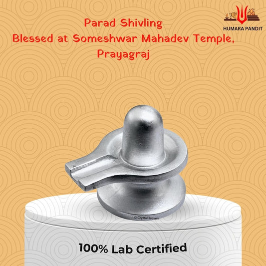 🛕Someshwar Mahadev Shivling – Blessed at Temple