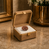 15 Mukhi Rudraksha