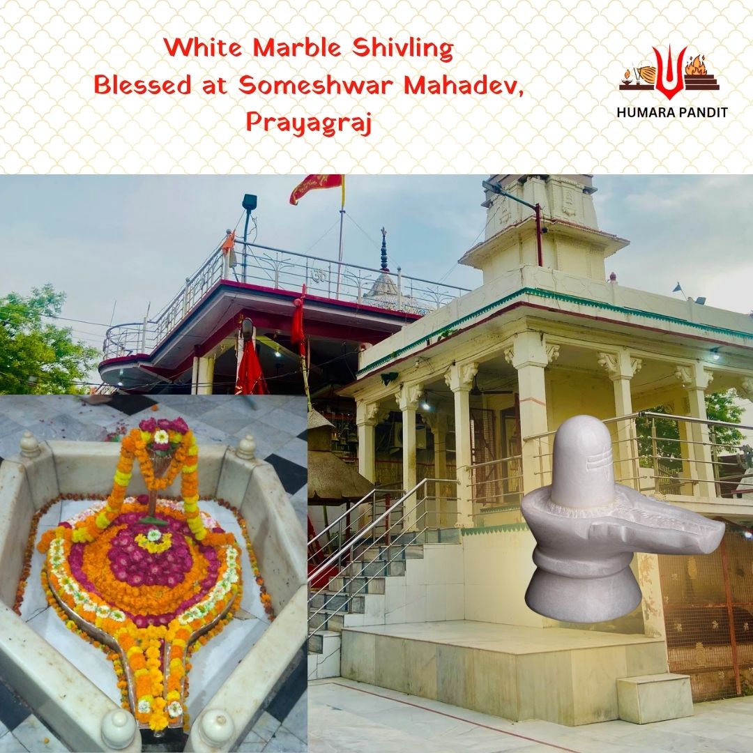 🛕Someshwar Mahadev Shivling – Blessed at Temple