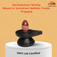 🛕Someshwar Mahadev Shivling – Blessed at Temple