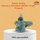 🛕Someshwar Mahadev Shivling – Blessed at Temple