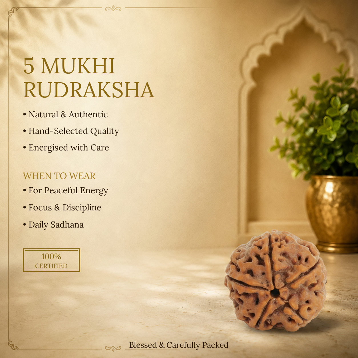 5 Mukhi Rudraksha - image 2