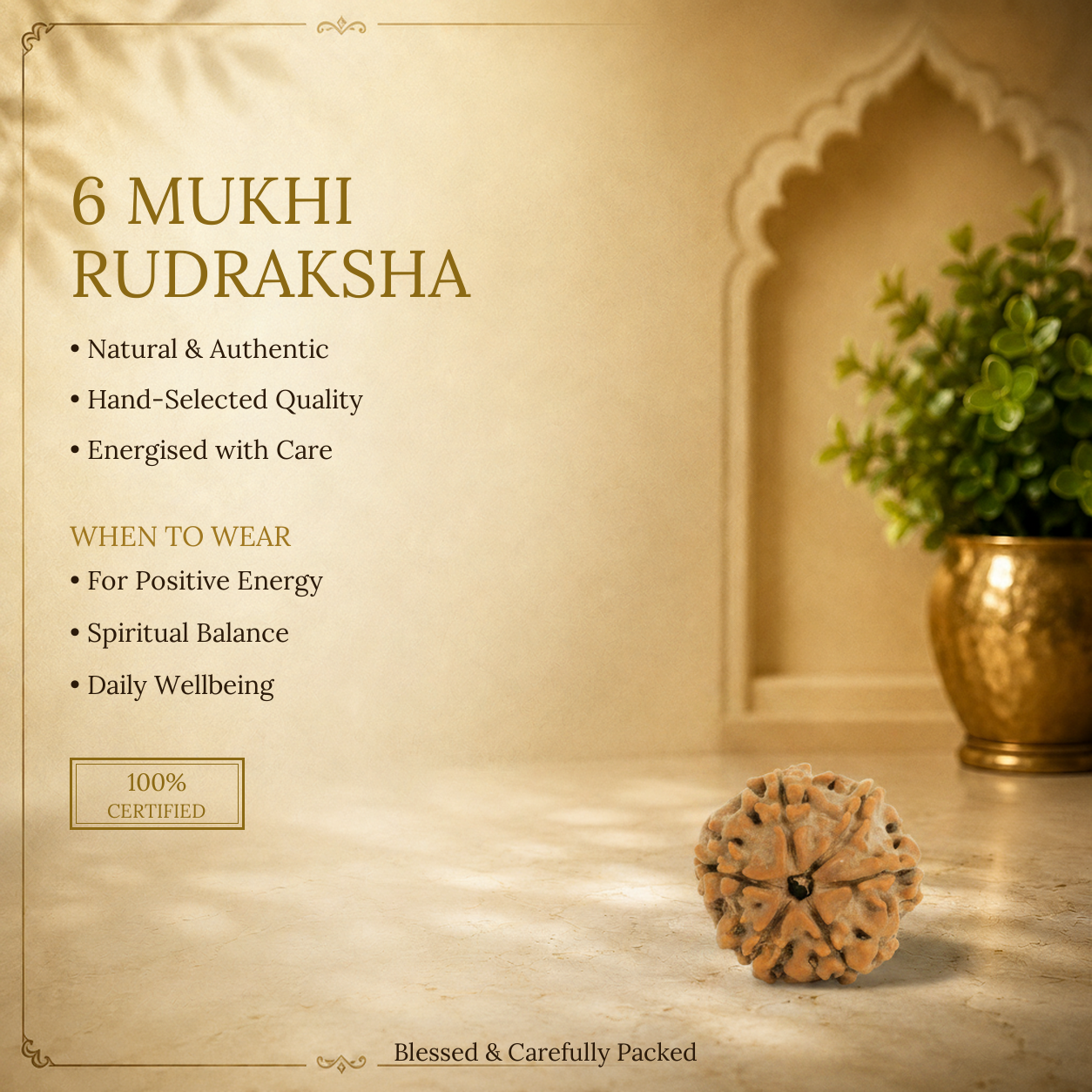 6 Mukhi Rudraksha - image 2