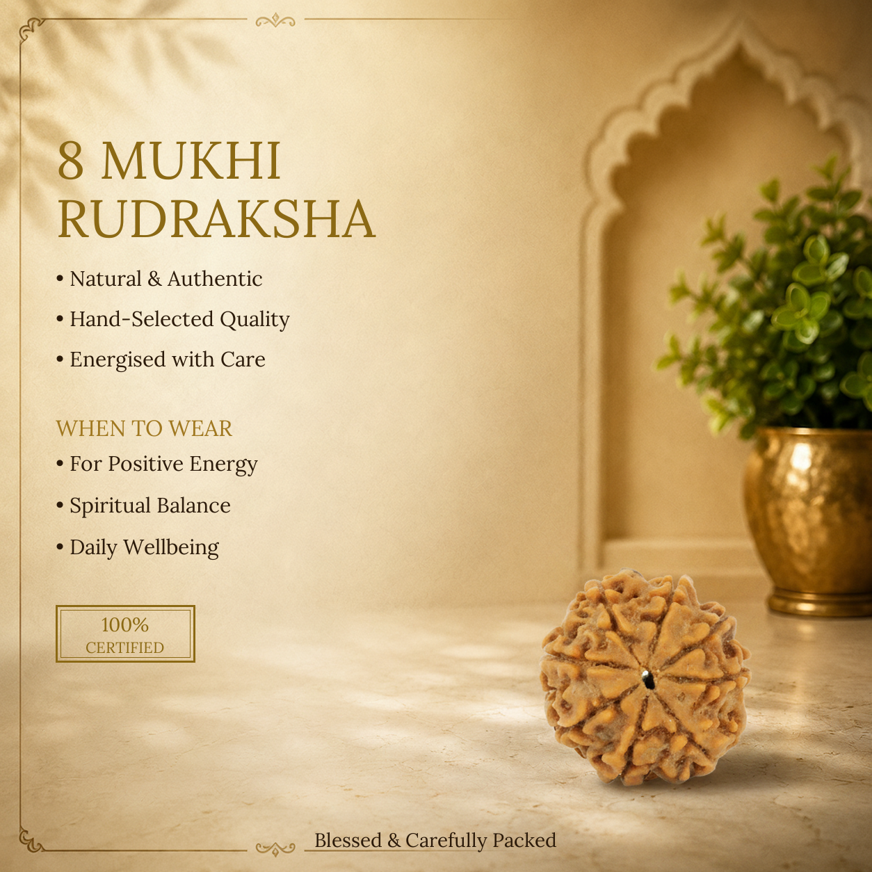 8 Mukhi Rudraksha - image 2