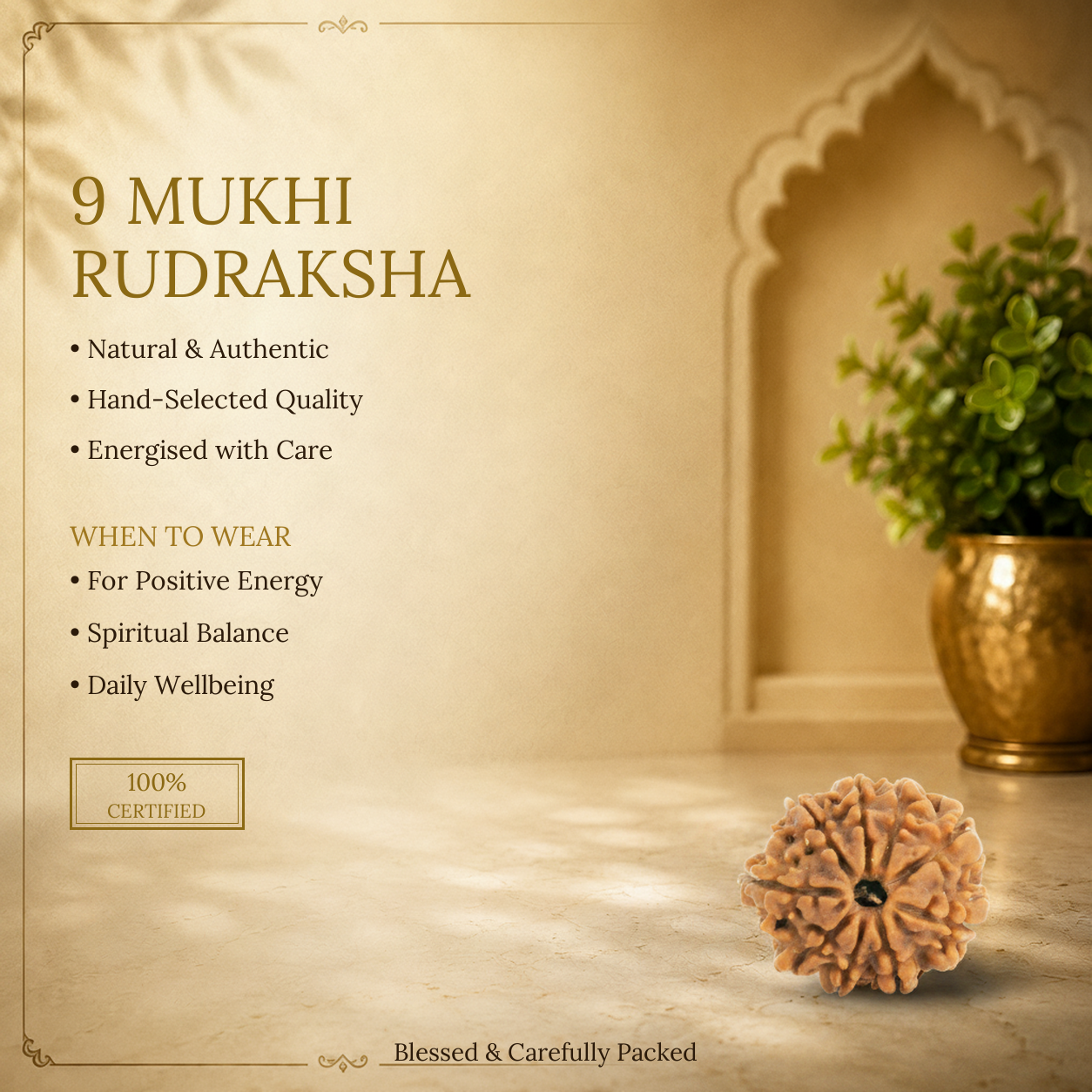 9 Mukhi Rudraksha - image 2