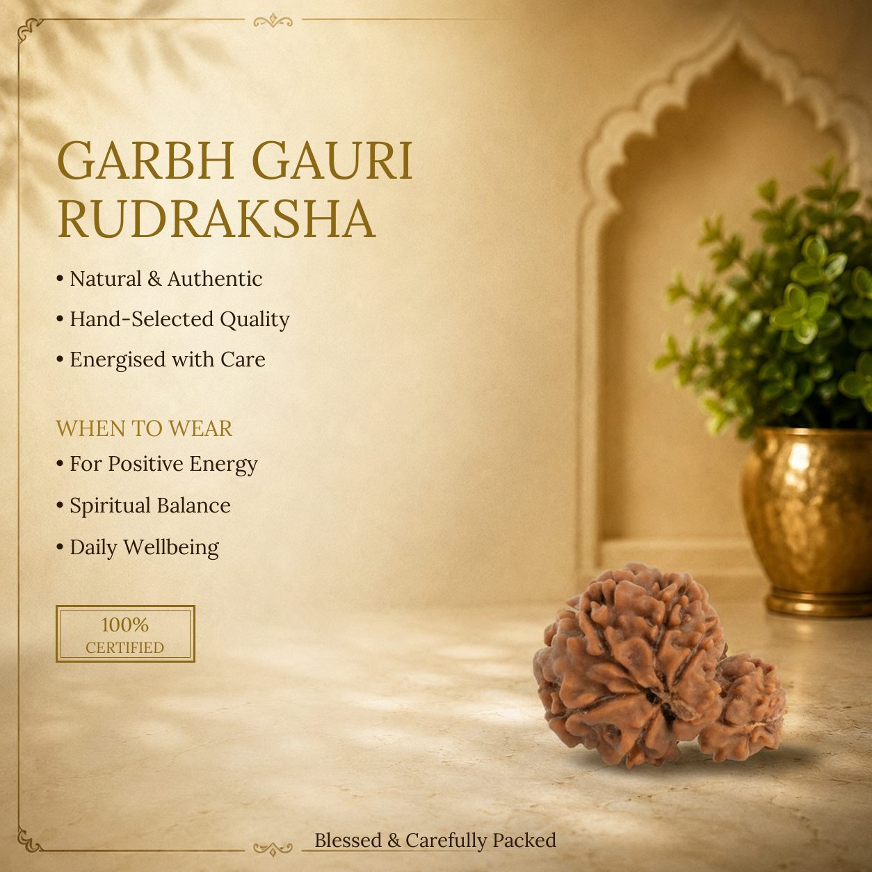 Garbh Gauri Rudraksha - image 2