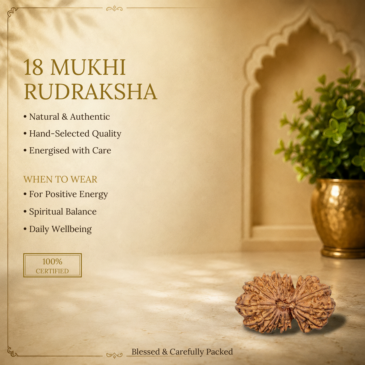 18 Mukhi Rudraksha - image 2