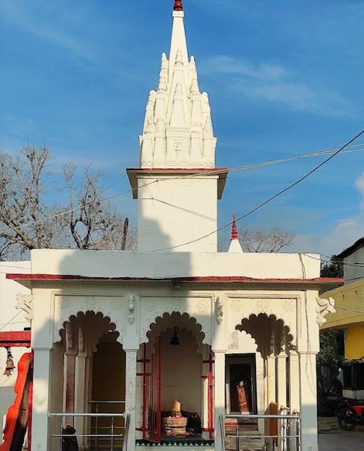 🛕Someshwar Mahadev Shivling – Blessed at Temple